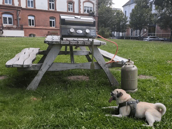 Rösle Videro G2-P heiß Ein Mops liegt im Gras vor einer Picknickbank, auf der der Videro G2-P mit Gasflasche steht.