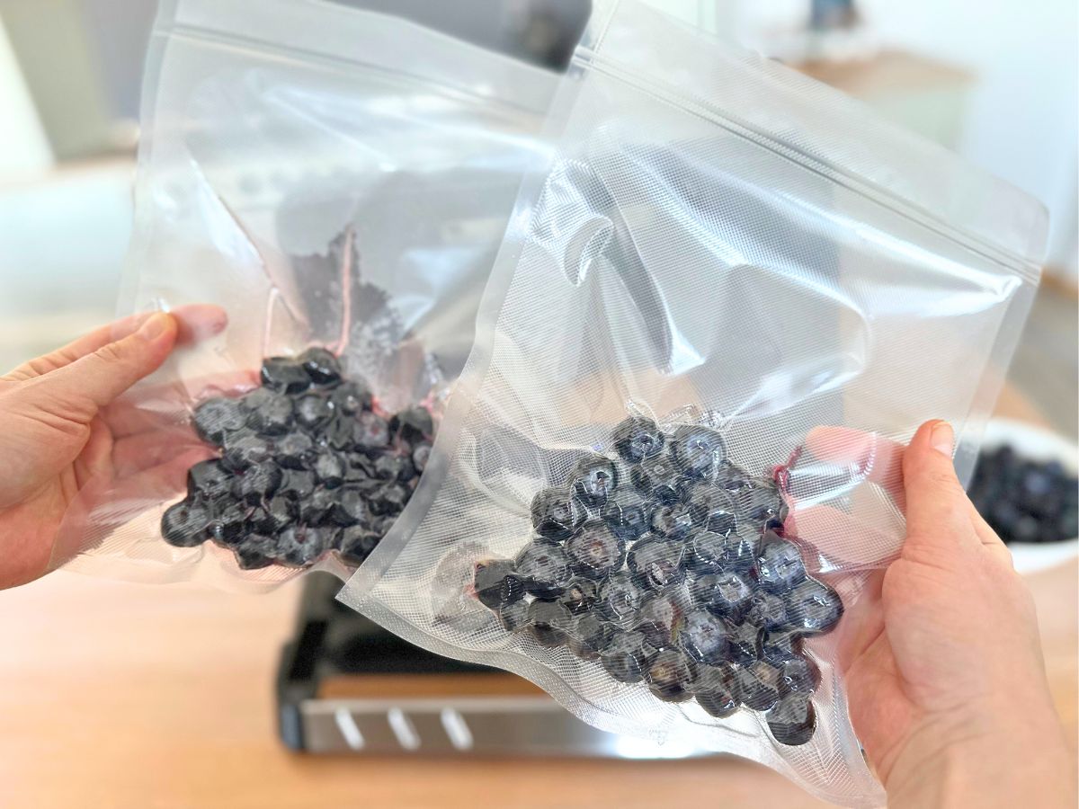 Blaubeeren vakuumiert mit dem Rommelsbacher VAC 485 