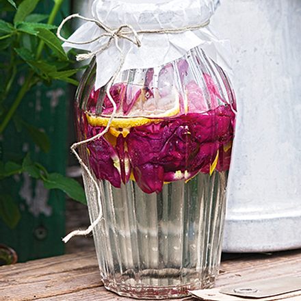 Rosensirup Rezept