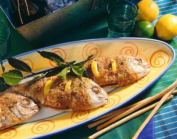 Rotbarben mit Zitrone Rezept Rotbarben mit Zitrone Rezept