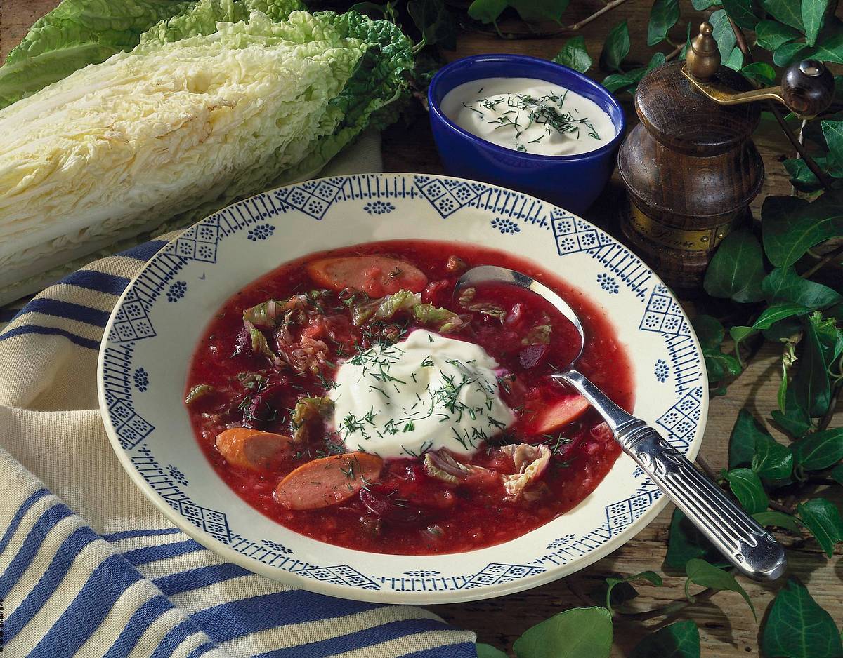 Russischer Borschtsch Rezept