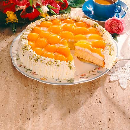 Saftiger Aprikosenkuchen Rezept
