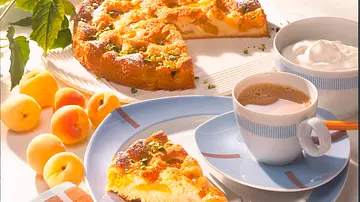Saftiger Aprikosenkuchen mit Vanille-Sahne Rezept - Foto: LECKER @ Bauer Media Group Saftiger Aprikosenkuchen mit Vanille-Sahne Rezept - Foto: LECKER @ Bauer Media Group