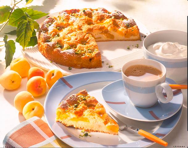 Saftiger Aprikosenkuchen mit Vanille-Sahne Rezept Saftiger Aprikosenkuchen mit Vanille-Sahne Rezept