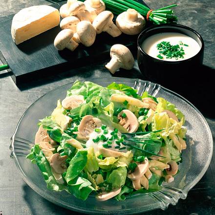 Salat mit Camembert Rezept Salat mit Camembert Rezept