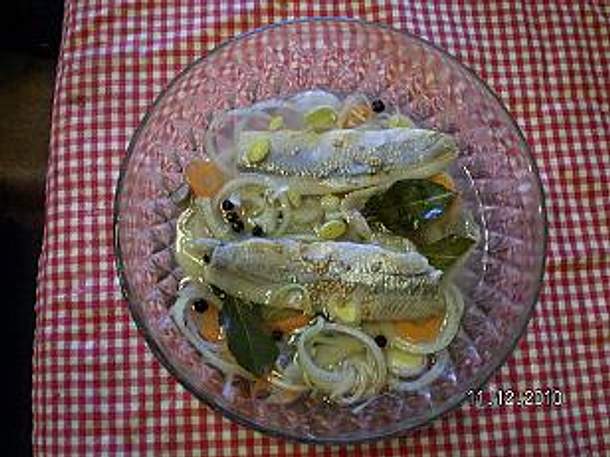 Saure Matjes Rezept Saure Matjes Rezept
