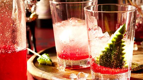 Sausebrause mit Cranberry und Gin Rezept - Foto: House of Food / Bauer Food Experts KG