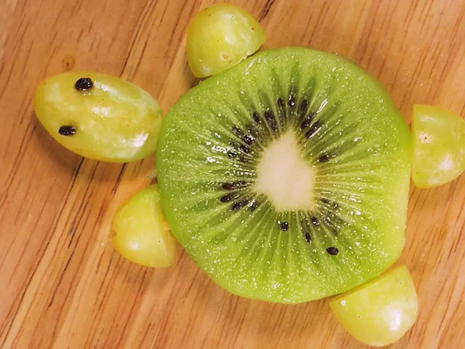 Obst-Schildkröte