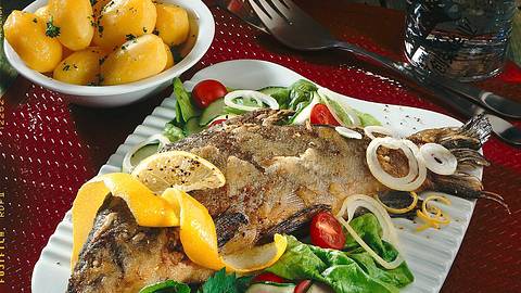 Schleie mit Salat Rezept - Foto: Först, Thomas