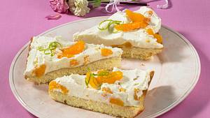 Schmandkuchen mit Mandarinen Rezept - Foto: House of Food / Bauer Food Experts KG