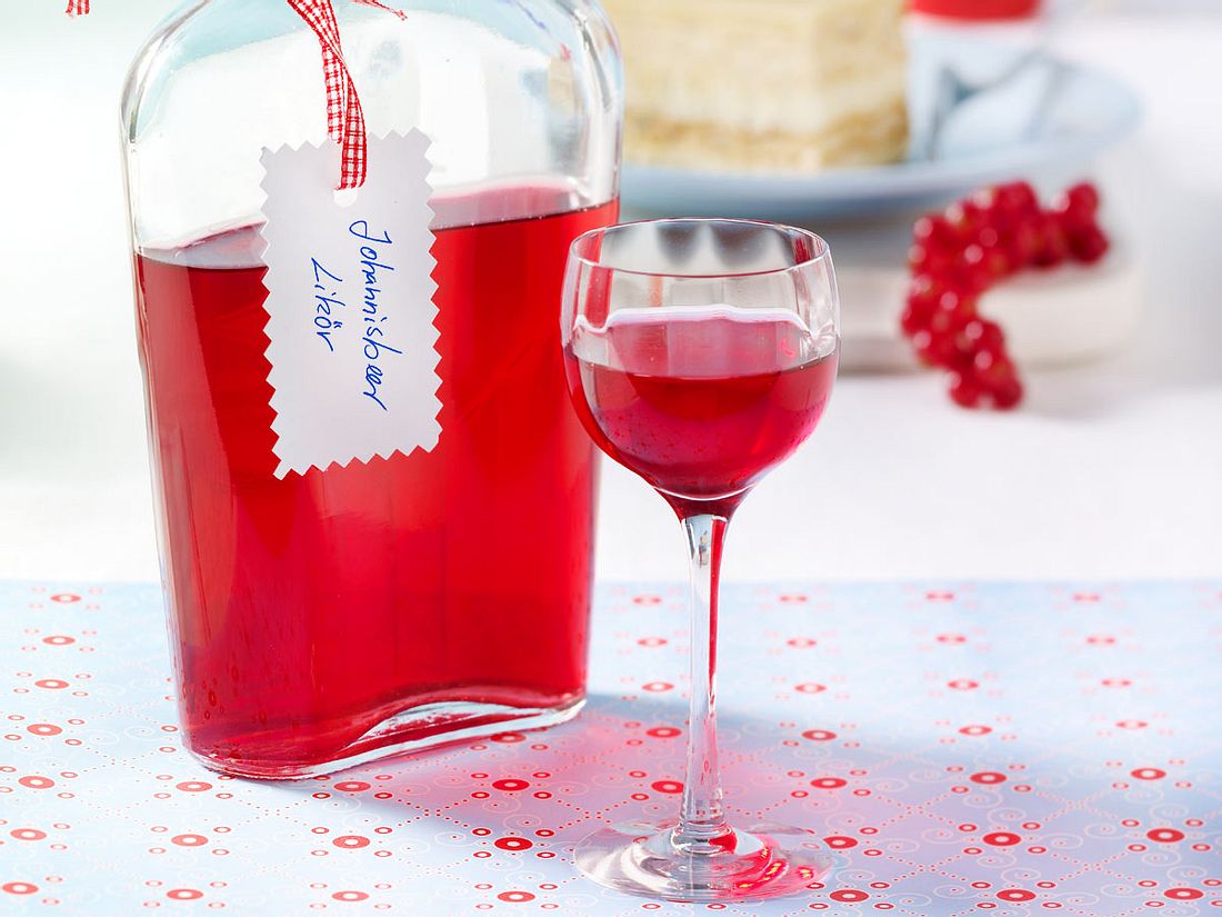 Selbst gemachter Johannisbeer-Likör Rezept | LECKER