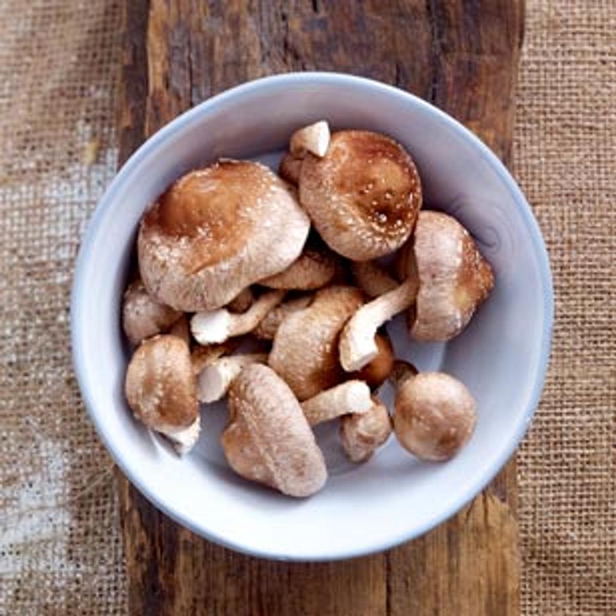 Shiitake – würzige Pilze aus Fernost - shiitake_1