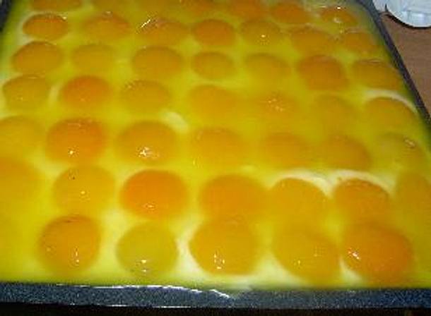 Spiegeleier Kuchen Rezept Spiegeleier Kuchen Rezept