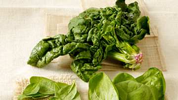 Spinat – grünes Blattgemüse von zart bis kräftig