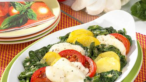 Spinat-Tomaten-Gratin mit Mozzarella Rezept - Foto: House of Food / Bauer Food Experts KG
