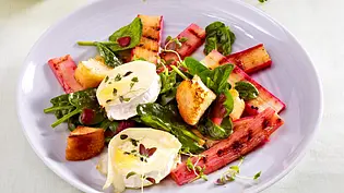 Spinatsalat mit gebackenem Ziegenkäse, Knoblauch-Croûtons und Rhabarber Rezept - Foto: LECKER @ Bauer Media Group Spinatsalat mit gebackenem Ziegenkäse, Knoblauch-Croûtons und Rhabarber Rezept - Foto: LECKER @ Bauer Media Group