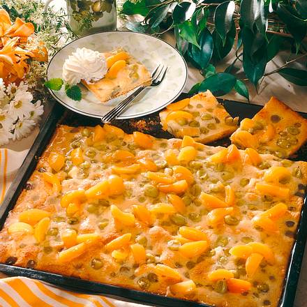 Stachelbeer-Aprikosenkuchen Rezept Stachelbeer-Aprikosenkuchen Rezept