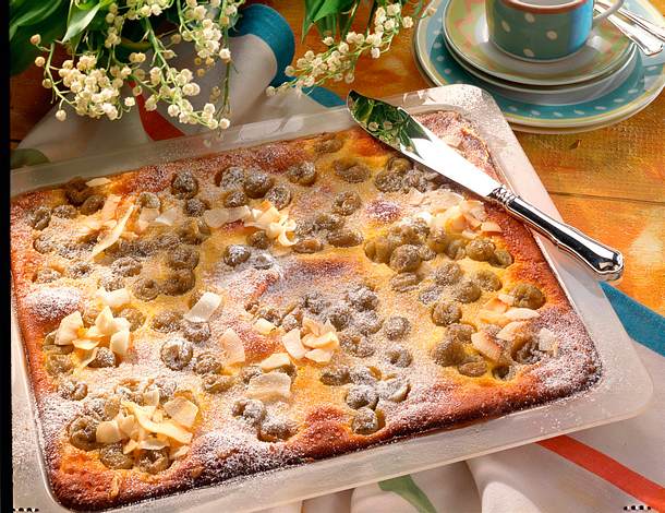 Stachelbeer-Kokos-Streuselkuchen Rezept Stachelbeer-Kokos-Streuselkuchen Rezept