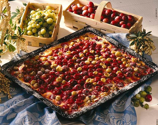 Stachelbeer-Schmandkuchen vom Blech Rezept Stachelbeer-Schmandkuchen vom Blech Rezept