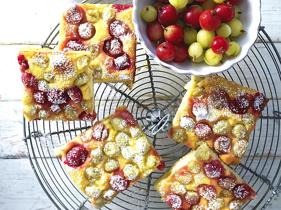 Stachelbeerkuchen mit Schmandguss Rezept Fünf saftige Blechkuchenstücke mit frischen roten und grünen Stachelbeeren, großzügig mit Puderzucker bestäubt auf einem runden Kuchengitter