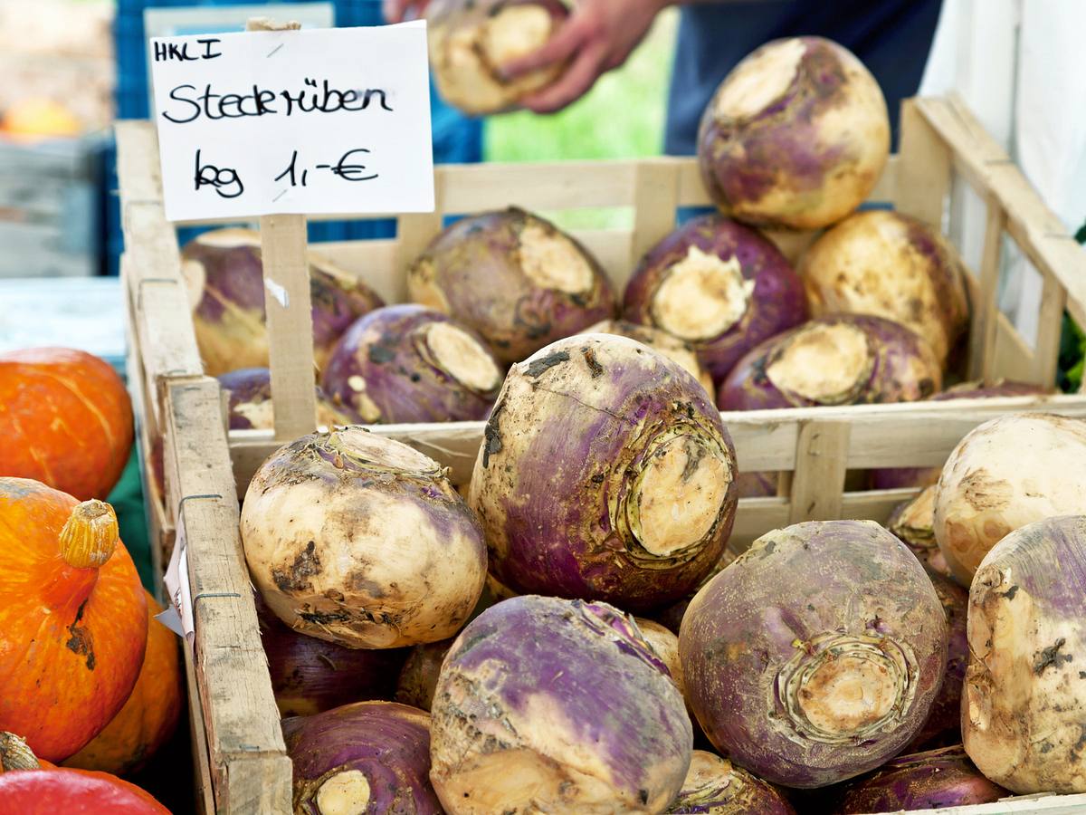 Steckrüben regional einkaufen