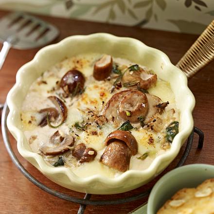 Steinpilz-Gratin Rezept Steinpilz-Gratin Rezept
