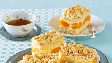 Streuselkuchen mit Aprikosenpuddingcreme Rezept - Foto: LECKER @ Bauer Media Group