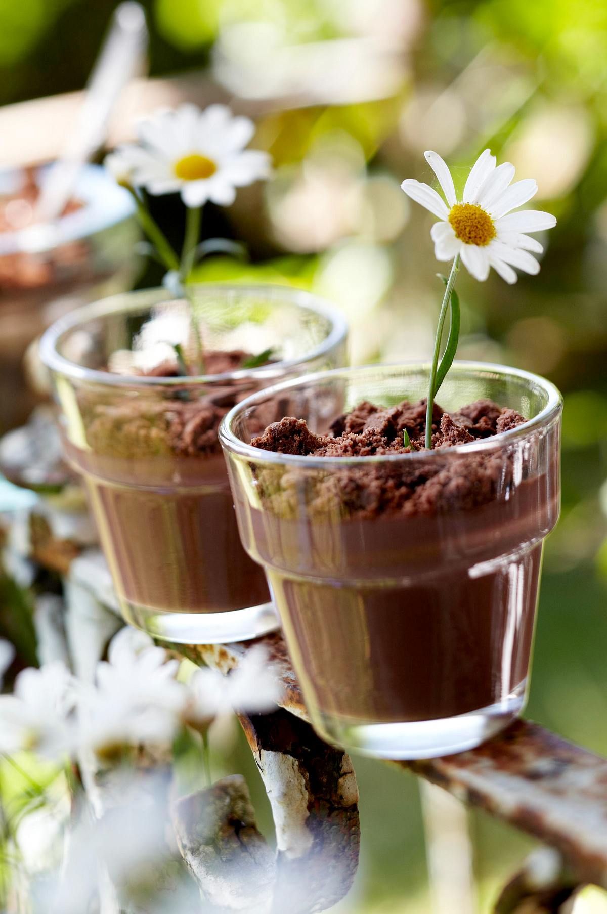 Süße Topfpflanzen aus Schokopudding Rezept