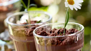 Süße Topfpflanzen aus Schokopudding Rezept - Foto: LECKER @ Bauer Media Group Süße Topfpflanzen aus Schokopudding Rezept - Foto: LECKER @ Bauer Media Group