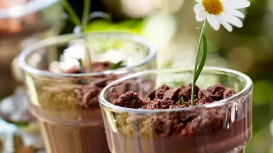 Süße Topfpflanzen aus Schokopudding Rezept - Foto: LECKER @ Bauer Media Group