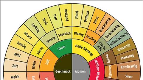 Geschmacksvielfalt in der Kaffeetasse