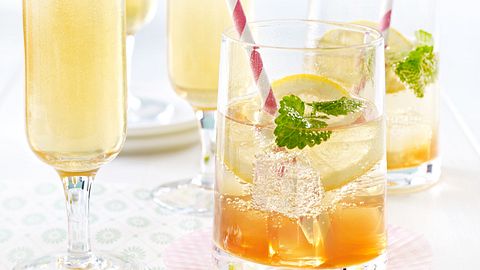 Tee-Drink mit Tonic auf Eis Rezept - Foto: House of Food / Bauer Food Experts KG