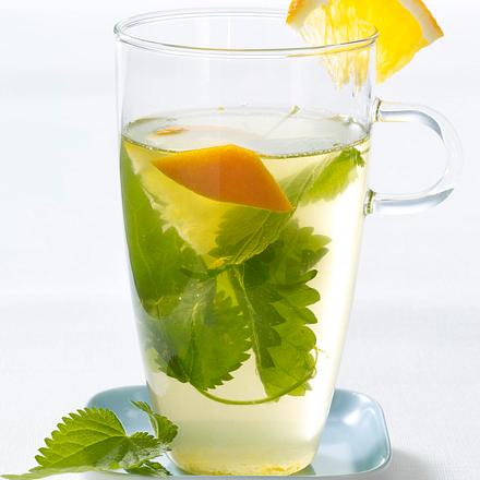 Tee mit Brennesseln, Gewürznelken und Orange (Schlank-Tee) Rezept Tee mit Brennesseln, Gewürznelken und Orange (Schlank-Tee) Rezept