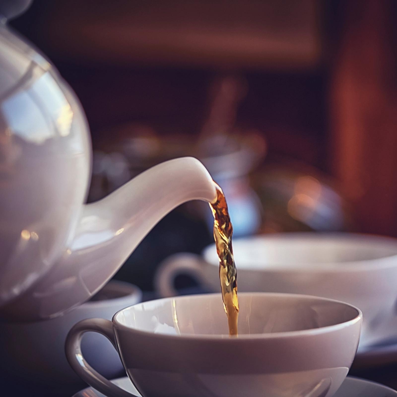 Teekanne mit Sieb - perfekten für | Teegenuss LECKER