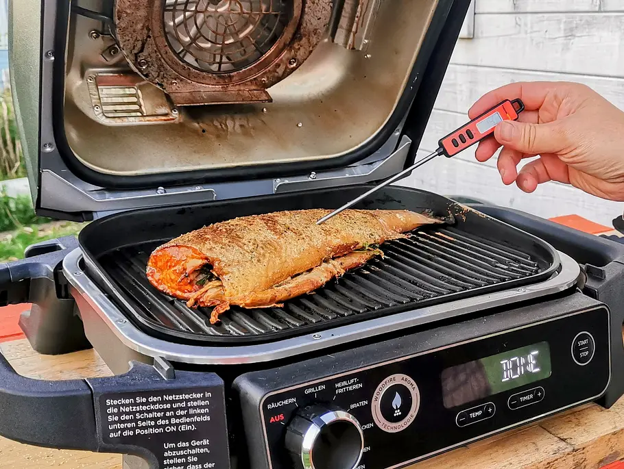 Digitales ThermoPro Grillthermometer Lachs Mit einem digitalen ThermoPro Grillthermometer wird bei einem Stück Lachs die Kerntemperatur gemessen.