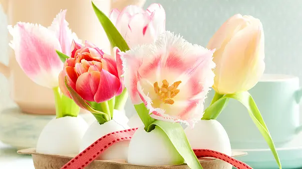 Tulpen in ausgeblasenen Eiern - Foto: LECKER @ Bauer Media Group