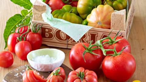 Tomate - aromatisches Sommergemüse in Rot und Gelb