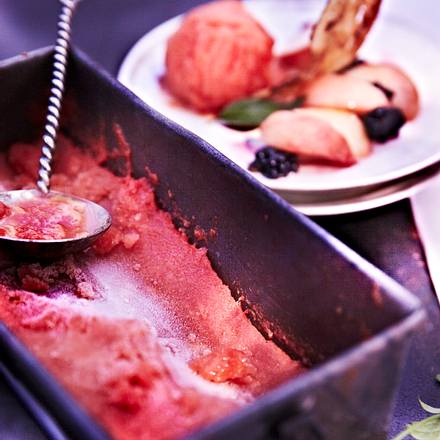 Tomatensorbet aus Strauchtomaten Rezept Tomatensorbet aus Strauchtomaten Rezept