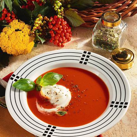Tomatensuppe mit Ginsahne Rezept Tomatensuppe mit Ginsahne Rezept