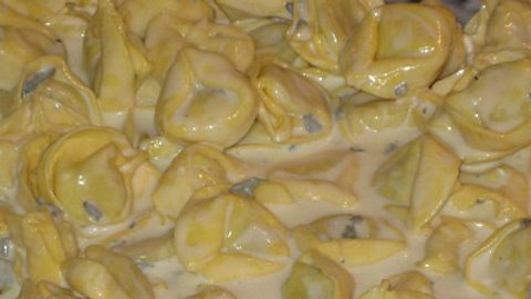 Tortellini Auflauf mit Gorgonzola Rezept - Foto: House of Food / Bauer Food Experts KG