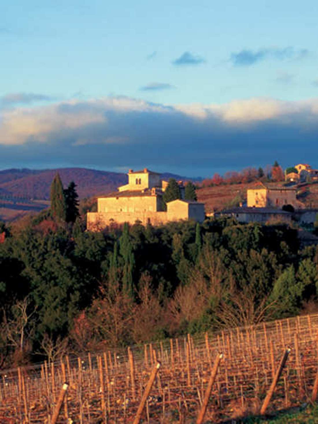 Toskana! Erstklassiger Brunello und viel Chianti - toskana450x600
