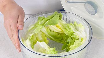 Trockenschleudern - für köstlichen Salat