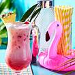 Tropical Paradise mit Kokosschaum Rezept - Foto: House of Food / Bauer Food Experts KG