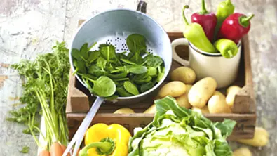 Vegane Ernährung