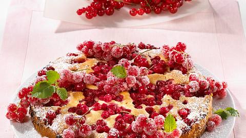 Versunkene Johannisbeertorte Rezept - Foto: Maass