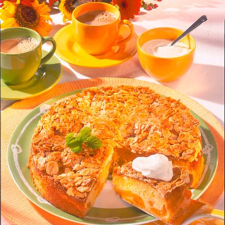 Versunkener Aprikosenkuchen Rezept Versunkener Aprikosenkuchen Rezept