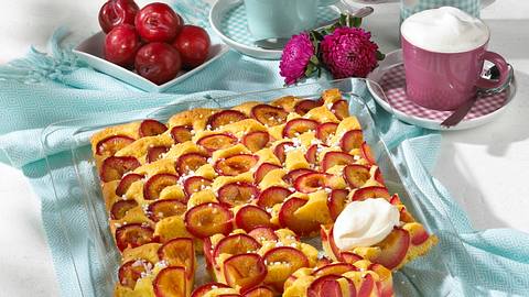 Versunkener Pflaumenkuchen vom Blech Rezept - Foto: House of Food / Bauer Food Experts KG