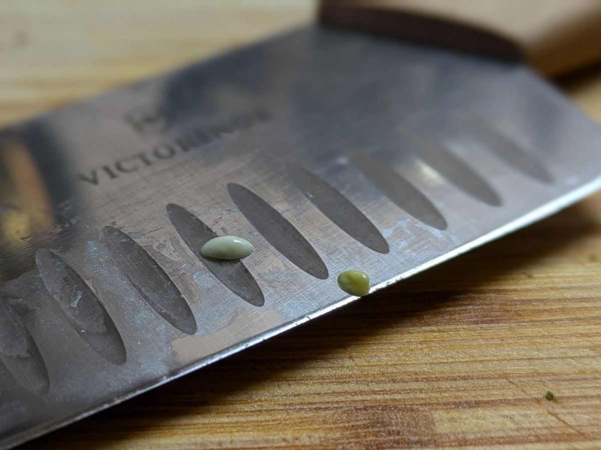 Victorinox Swiss Modern Santoku Klinge Closeup