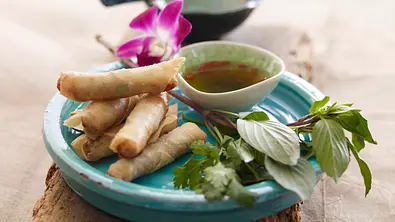 Vietnam: Cha Gio Frühlingsrollen mit Dip Rezept - Foto: LECKER @ Bauer Media Group
