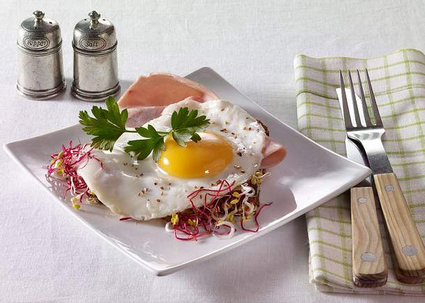 Vollkornbrot mit Kochschinken, Spiegelei und Sprossen Rezept Vollkornbrot mit Kochschinken, Spiegelei und Sprossen Rezept